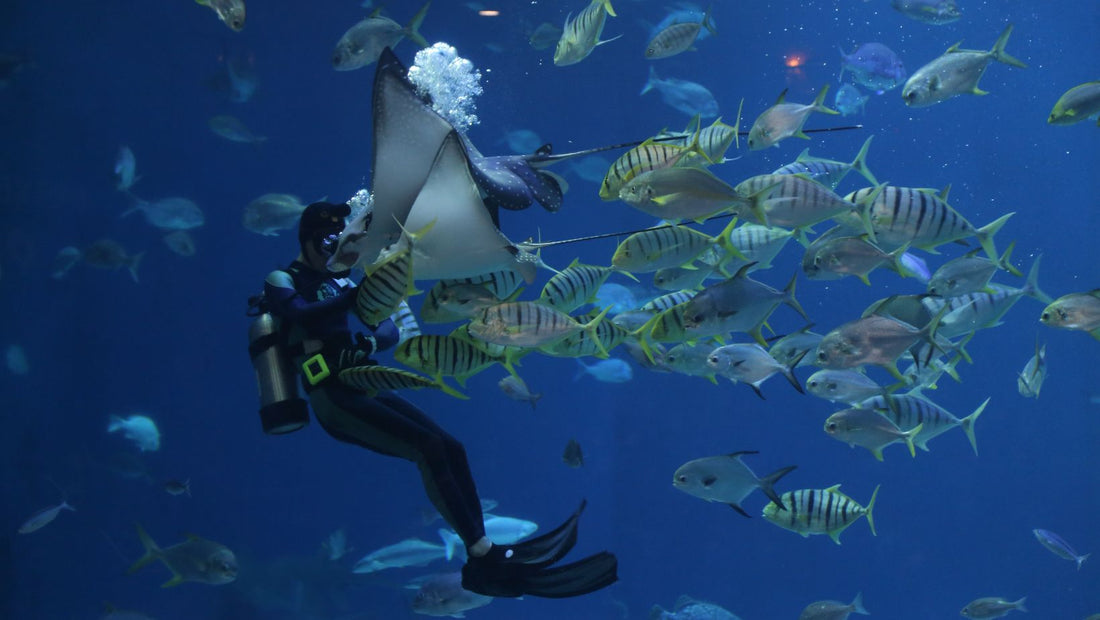 Scuba Diving in Christmas Island National Park